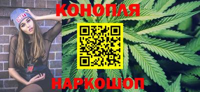 прущие грибы Будённовск