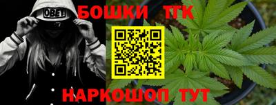 прущие грибы Будённовск