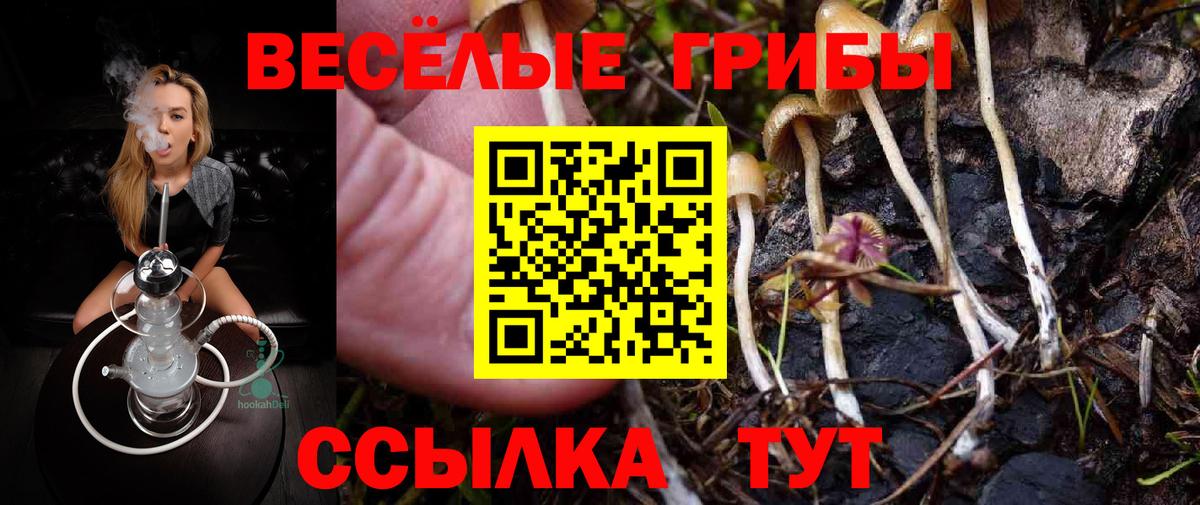 Псилоцибиновые грибы прущие грибы  Вход с VPN  Саратов  Псилоцибиновые грибы Psilocybine cubensis 